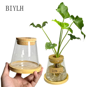 Home Decor Glass Vase Hydroponic Plant Volcano Small Vase Nordic Tabletop Simple Green Plant Mini Bottle With  Tray Flower Vases