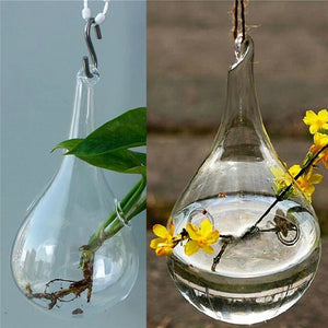 Glass Hanging Vase Flower Planter Container Pot Clear Ball Shaped Hydroponic Bottle Terrarium For Plant Flower Decoration