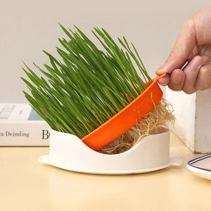 New Fish Shape Pet Cat Sprout Dish Growing Pot Hydroponic Plant Cat Grass Germination Digestion Starter Dish Greenhouse Grow Box