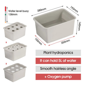 6-Hole 5L Soilless Hydroponics Growing System 24 Hours Timing Controller Oxygen Pump Nutrient Solution Nursery Sponge Grow Kits