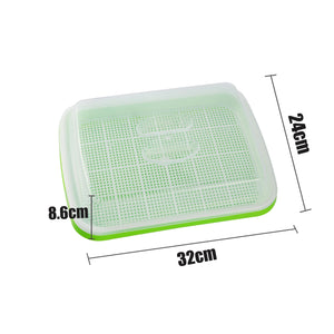 Sprouting Tray With Cover Pea Bean Wheat Seedling Germination Plate Cat Grass Wheatgrass Soilless Hydroponics Planting Pots