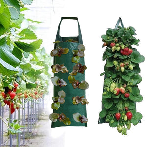 Plant Grow Bags 4/6/8/10 Holes Strawberry Potato Hanging Planting Pots Vegetable Planting Flower Planter Garden Accessories