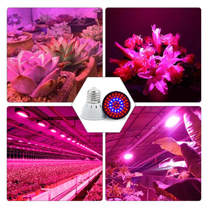 10Pcs/Lot Led Grow Lamp E27 E14 Full Spectrum Hydroponic Growth Light MR16 GU10 PhytoLamp For Indoor Plants Seedlings Succulents