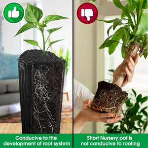 Tall Square Plant Seedling Planting Cup Thicken Black Plastic Supple Nursery Breathable Pot for Garden Tree Transplant Grow Bags