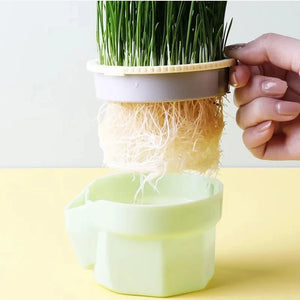 New 1pcs Pet Cat Sprout Dish Growing Pot Hydroponic Plant Cat Grass Germination Digestion Starter Dish Greenhouse Grow Box