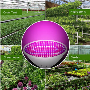 E27 LED Grow Light 85-265V Full Spectrum Phyto Lamp Led Hydroponics Plant Bulb Growth Light Tent Greenhouse Vegs Cultivo Lamp