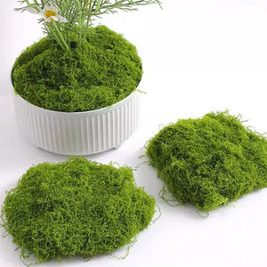 50g Fake Moss DIY Crafts Grass Artificial Moss Faux Preserved Moss Green Plants Home Room Garden Decor Mini Landscape Fake Grass