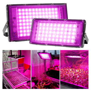 Full Spectrum LED Grow Light With Stand AC220V Phyto Lamp With On/Off Switch For Greenhouse Hydroponic Plant Growth Lighting