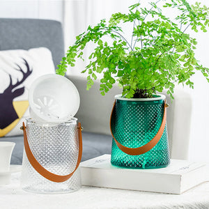 Lazy Hydroponic Flower Pot with Handle Automatic Water-Absorbing Flowerpot Transparent Plastic Self Watering Planter Office