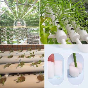 50pcs Hydroponic Soilless Mesh Net basket Plant veg Grow Nursery Cup Pot Sponge tray Aeroponic Veg Planter Clone Colonization q1