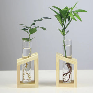 Fashion Desktop Test Tube Clear Glass Vase Nordic Wooden Vase Tray Holder Hydroponic Plant Home Garden Glass Container Decorat