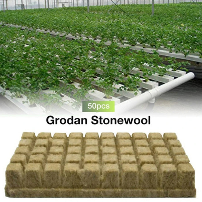 50Pcs 25x25x25mm Ventilative Hydroponic Grow Agricultural Media Cubes Mini Blocks Planting Soilless Cultivation Base