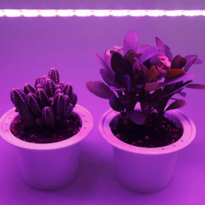 DC 5V USB LED Grow Lights 1m 2m 3m Full Spectrum Phyto Lamp Strip For Seeds Flower Greenhouse Tent Hydroponic Plants Lighting