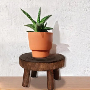 Solid Wood Round Bench Flower Pot Holder Plant and Succulent Flower Pot Base Display Stand Stool Home Garden Patio Shelf