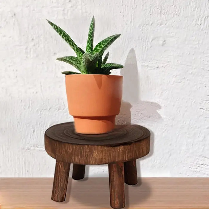 Solid Wood Round Bench Flower Pot Holder Plant and Succulent Flower Pot Base Display Stand Stool Home Garden Patio Shelf