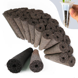6x2cm Hydroponics Grow Sponge for Indoor Garden Growing System Supplement Seeds Pods Replacement Root Starters Growth Seedling