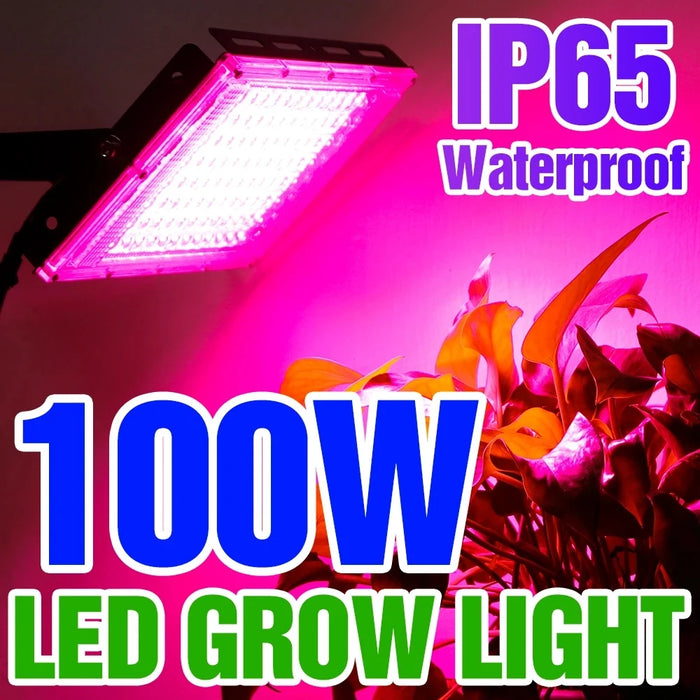 Led Grow Light Plant Hydroponic Lamp LED Full Spectrum 220V LED Phytolamps Light Greenhouse Seeds Flower Grow Lighting 50W 100W