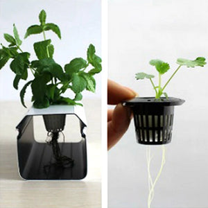 50pcs Black Hydroponic Baskets Sponge Garden Vegetable Soilless Planting Sponge Nursery Pots Foam Plants Root Fixed Sponge