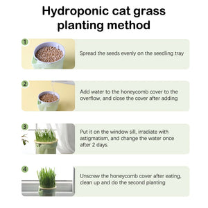 Cat Snack Cat Mint Planting Hydroponic Box Cat Grass Pot Color Contrast Hydroponic Cat Grass Box Det Cat Grass Planting Bowl