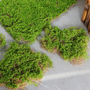 Simulation Moss Grass Turf Lawn Artificial Moss Green Fake Plant for Home Garden Wall Decor Micro Landscape Decoration