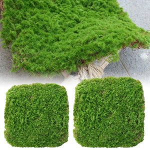 Simulation Moss Grass Turf Lawn Artificial Moss Green Fake Plant for Home Garden Wall Decor Micro Landscape Decoration