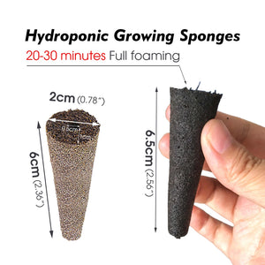 6x2CM Hydroponic Plant Grow Sponges Supplement Seeds Pods for Hydroponic Indoor Garden System Root Growth Water Cultivation Tool