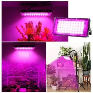 Led Grow Light Full Spectrum Phyto Lamp For Plant Light 300W Hydroponics Growing System Greenhouse Flower Seeds Grow Lighting