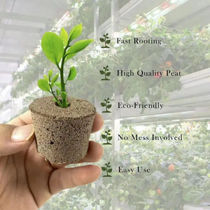 Soilless Cultivation Nursery Blocks Compressed Peat Soil Pellets Garden DIY Hydroponic Growing Block Promoting Plants Growth