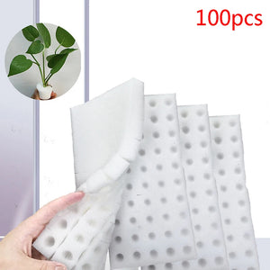 2sheets=100pcs Garden Cultivation Plant Seedling Sponge Soilless Hydroponic Vegetables Nursery Pots Seedlings Cloning Collar