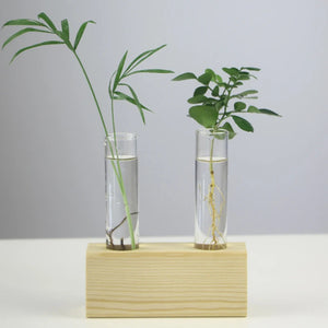 Fashion Desktop Test Tube Clear Glass Vase Nordic Wooden Vase Tray Holder Hydroponic Plant Home Garden Glass Container Decorat