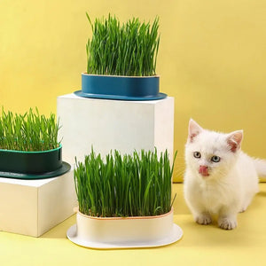 1set Pet Cat Sprout Dish Growing Pot Hydroponic Plant Cat Grass Germination Digestion Starter Dish Greenhouse Grow Box