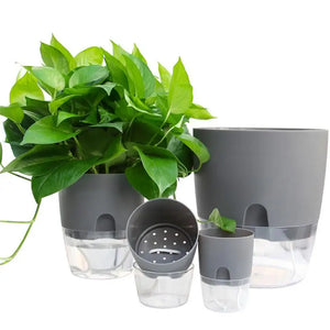 Hydroponic Flowerpot Water Container Automatic Watering Hydroponic Plant Pot Azy Self-watering Flowerpot Office Plant Flower Pot