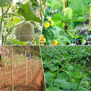 1Pcs Multi Use Plant Trellis Netting Heavy-Duty Polyester Plant Support Vine Climbing Hydroponics Garden Net Accessories