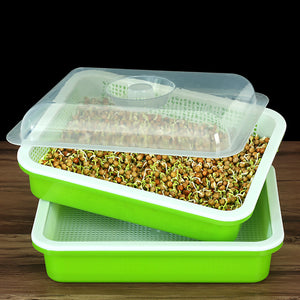 Sprouting Tray With Cover Pea Bean Wheat Seedling Germination Plate Cat Grass Wheatgrass Soilless Hydroponics Planting Pots