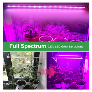 AC220V LED Grow Light 75leds LED Plant Light Bar Full Spectrum Phyto Lamp For Indoor Plants Veg Flowers Hydroponics System