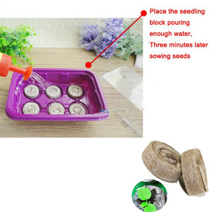 20pcs Seed Fertilizer Nutrient Peat Discs Peat Pellets Nutrient Compressed Soil Seedling Soil Block Maker For Plant Growing