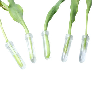 20Pcs Plastic Fresh Flower Nutrition Tube With Cap Water Storage Tube Keep Fresh Hydroponic Container Floral Water Tube