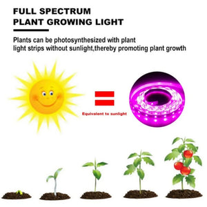 DC 5V USB LED Grow Lights 1m 2m 3m Full Spectrum Phyto Lamp Strip For Seeds Flower Greenhouse Tent Hydroponic Plants Lighting