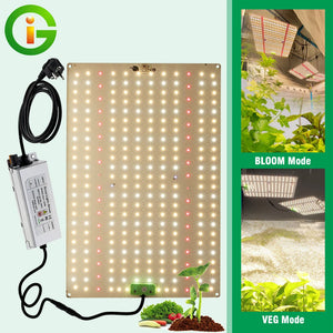 Full Spectrum LED Grow Light Samsung LM281B Diode LED Sunlike Quantum Grow Lamp For Greenhouse Hydroponic Plant Growth Lighting