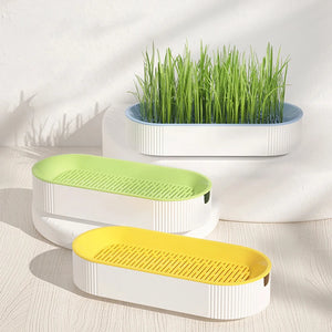 Hydroponic Cat Grass Box Pet Cat Sprout Dish Growing Pot Hydroponic Plant Cat Grass Germination Digestion Starter Dish Sprouter