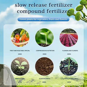 Home Gardening Universal Slow-Release Tablet Organic-Fertilizer Indoor Flower Plant Concentrated Fertilizers For Succulent