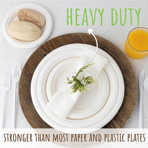 50 Disposable Plates Paperd and Spoon 100% Biodegradable Heavy-Duty Natural Sugarcane Bag-Like Fibers Tableware Compostable