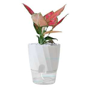 1pc New Nordic Athens Style Lazy Water Free Resin Automatic Absorbent Transparent Round Plastic Hydroponic Flower Pot