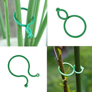 Garden Vine Strapping Clips Plant Bundled Buckle Ring Holder Tomato Garden Plant Stand Tool Garden Decor Accessories