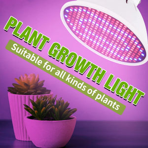 E27 LED Grow Light 85-265V Full Spectrum Phyto Lamp Led Hydroponics Plant Bulb Growth Light Tent Greenhouse Vegs Cultivo Lamp