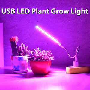 LED Full Spectrum Plant Lamp USB Grow Light Flexible LED Growth Light Phyto Lamp Flower Seedling Hydroponic Lighting Fitolampy