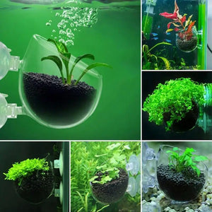 Acrylic Plant Cup Aquatic Quarium Feeding Cup Elegant Appear Hanging Glass Crystal Feed Pot Water Fish Tank Home Garden Decor