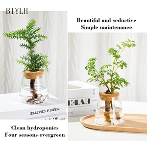 Home Decor Glass Vase Hydroponic Plant Volcano Small Vase Nordic Tabletop Simple Green Plant Mini Bottle With  Tray Flower Vases