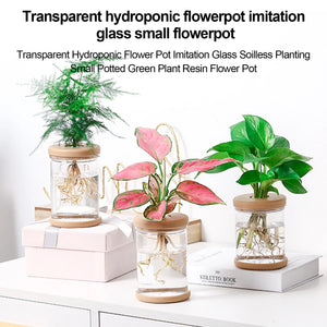 Mini Hydroponic Flower Pot Home Vase Decor Transparent Imitation Glass Soilless Plant Pots Green Plants Pot For Home Decoration