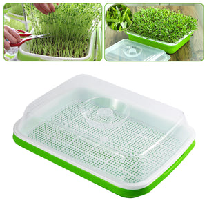 Sprouting Tray With Cover Pea Bean Wheat Seedling Germination Plate Cat Grass Wheatgrass Soilless Hydroponics Planting Pots